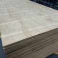 17mm BC H3 Treated Plywood 2400 x 1200