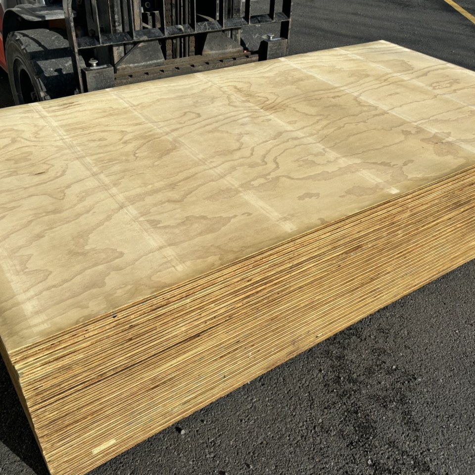 19mm H3 Treated F8 DD Structural Plywood 2400 x 1200